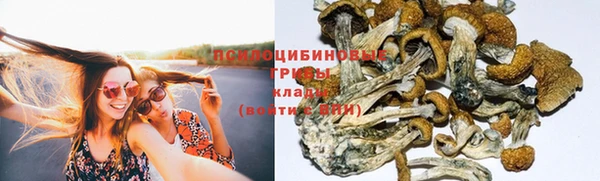 ECSTASY Белоозёрский