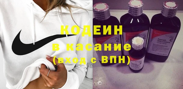 амф Бородино