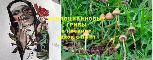 ECSTASY Белоозёрский