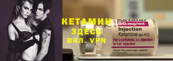 сатива Беломорск