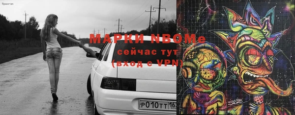 сатива Беломорск