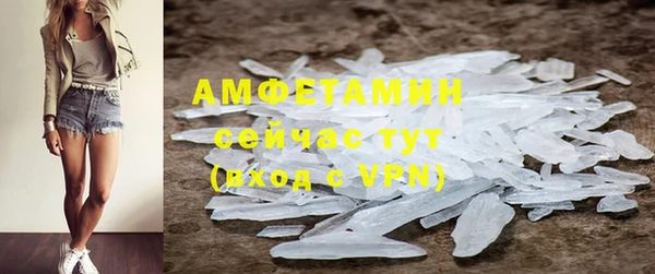 сатива Беломорск