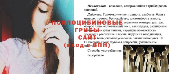 сатива Беломорск