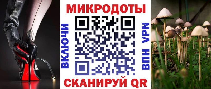 Купить где  Медынь  Галлюциногенные грибы MAGIC MUSHROOMS 